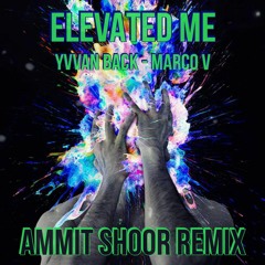 Elevated Me - Yvvan Back, Marco V (Ammit Shoor Remix)