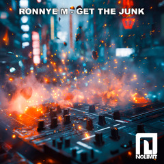 Ronnye M - Get The Junk (Radio edit)