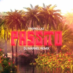 Tropkillaz - Passito (DJ MARNEL DNB Remix)