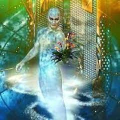 Cheese Leaf - Everyday