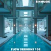 Flow Sessions 102 - EINMUSIK DJ mix artwork - Electronic music tracklist cover image