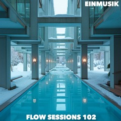 Flow Sessions 102 - EINMUSIK