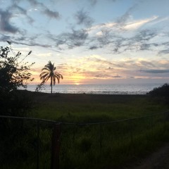 the sailor or the siren