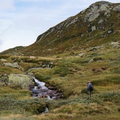 Rückenwind - LEA Cover