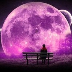 LUNA XVI
