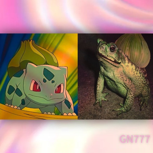 Pokemon come after the Animals