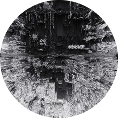 Traumatic Lab (Live Extract)