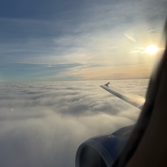 AI- feat Rip Lil Arsinix lyrics