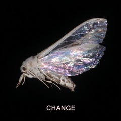 CHANGE