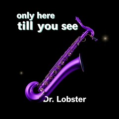 Only Here Till You See