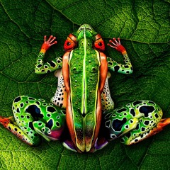 Psyde Distractions (DJ Set)