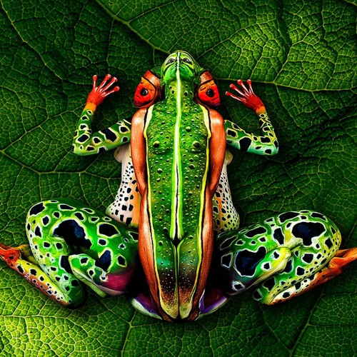 Psyde Distractions (DJ Set)