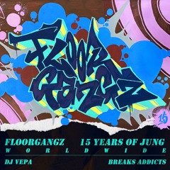 DJ Vepa - Flgz 15 Years Of Jung