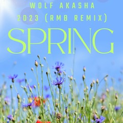 Wolf Akasha Remix RMB Spring 90´s 2023