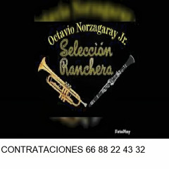 Río Colorado (En Vivo)