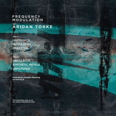 Premiere: Aridan Torke - Unfiltered [The Machines Are Alive TMAA008]