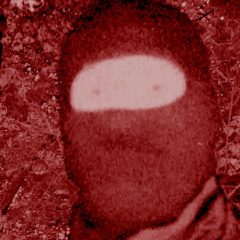 hominis nocturnae