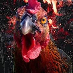 Cachaça - Angry Chicken