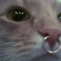 Just Will - Holy Spirit move in us .m4a (Prod. Elzio & iof)