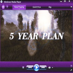 5 year plan <Prod:indigoendo>