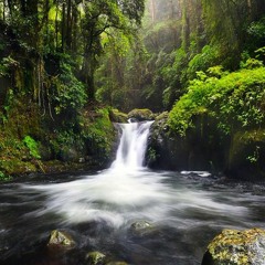 Sedang Ingin Bercinta DEWA19