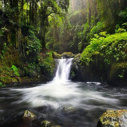 Sedang Ingin Bercinta DEWA19