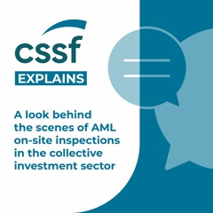 A look behind the scenes of AML on-site inspections in the collective investment sector