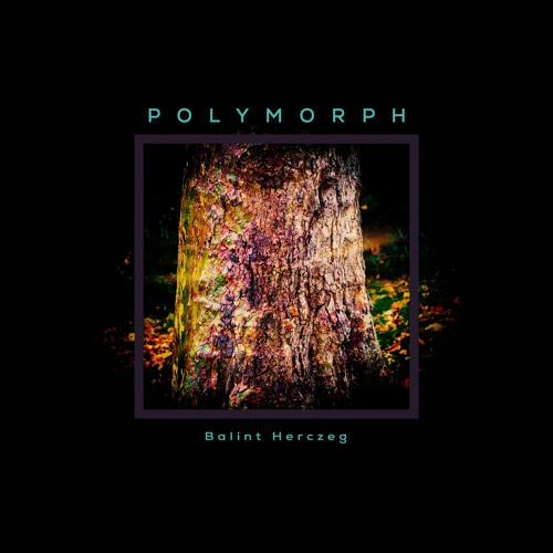 Polymorph