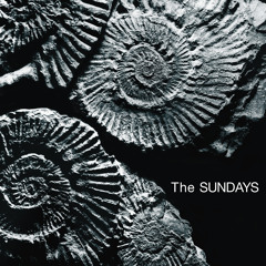 my 100 favorite albums of all time