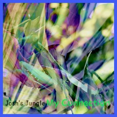 My Connection Josh's Jungle