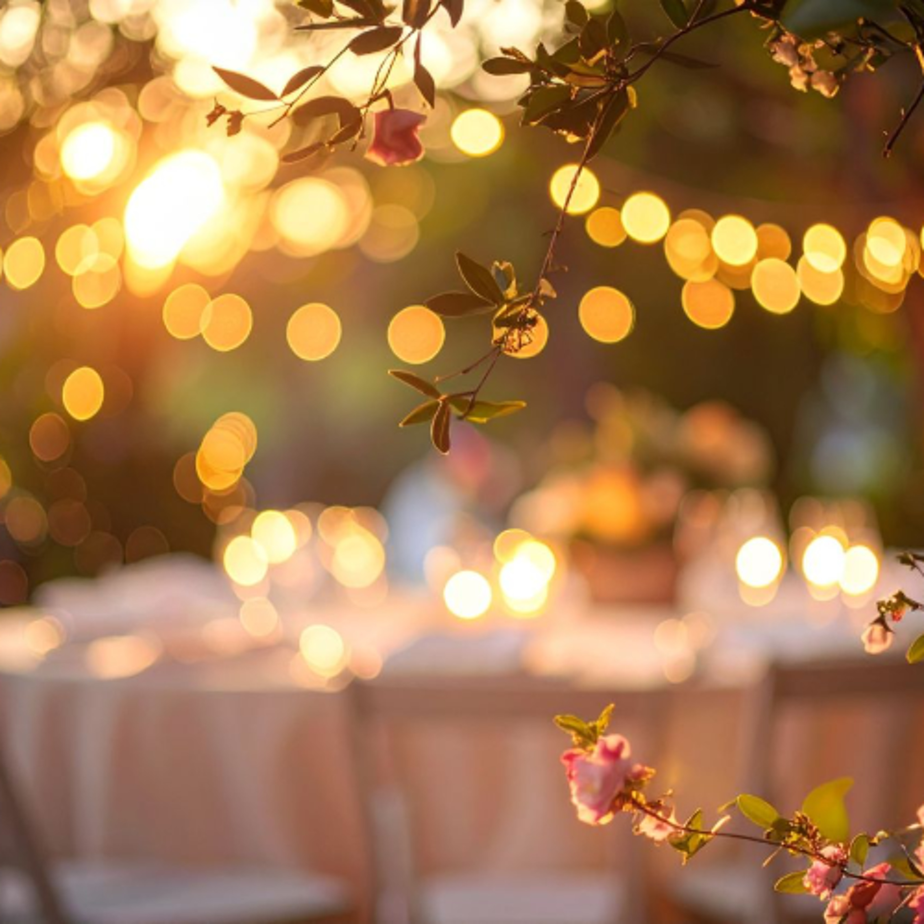 Best of Awake in the World: Asteya (Being Satisfied)