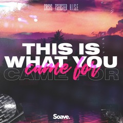 CRISIS, Tsebster & H.I.S.E. - This Is What You Came For