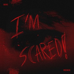 BINi - I'm Scared! (MINIMONSTER Remix)