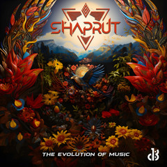 The Evolution of Music