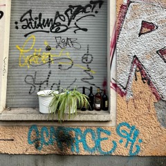 yzulado - 100% vinyl