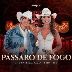 Ana Castela Ft. Paula Fernandes - Pássaro De Fogo (Download / Baixar) ↓