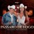 Artwork for Ana Castela Ft. Paula Fernandes - Pássaro De Fogo (Download / Baixar) ↓