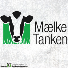 Mælketanken 2025 - August