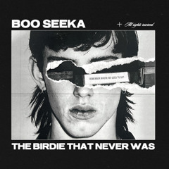 Boo Seeka - New