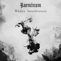 PREMIERE : Haeminum - Whales Interferences