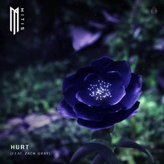 MitiS - Hurt feat. Zack Gray