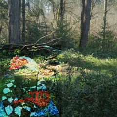 fretful junior electric bass loves being outside