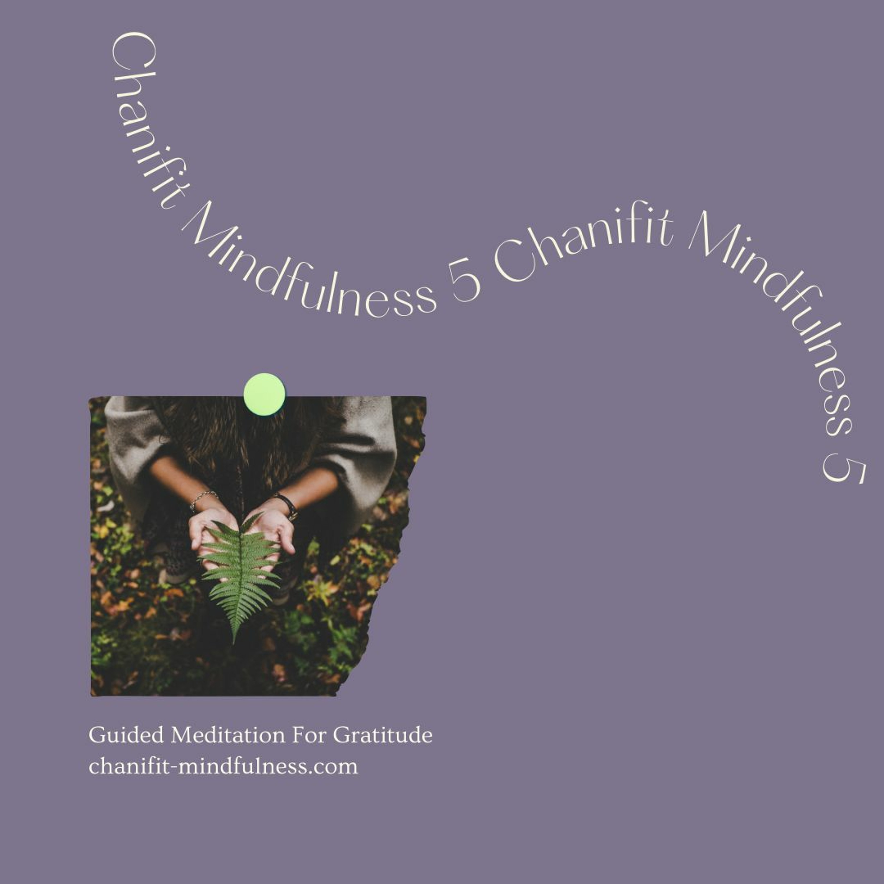 Meditation 5|05 薔非的感恩靜心冥想 Chanifit Guided Meditation For Gratitude