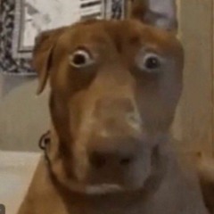 “Perfect NMN take doesn't exist” Me ASF: