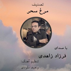مرغ سحر