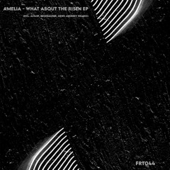 Amelia - Video Games (Denis Andreev Remix)