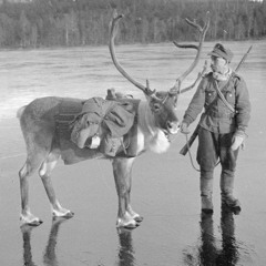 Eldankajärven jää
