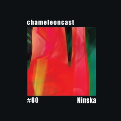 chameleon #60 - ninska