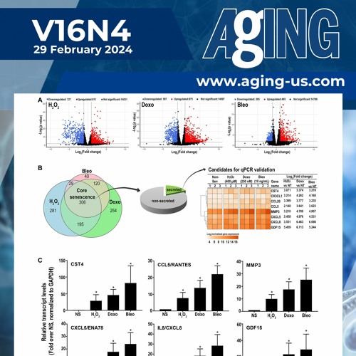 Mapping the Core Senescence Phenotype of Human Colon Fibroblasts