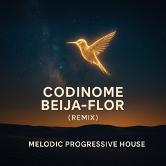 Cazuza – Codinome Beija-Flor (Lahm Remix) | Melodic Progressive House